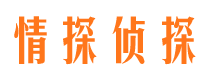 江宁市婚外情调查